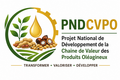 pndcvpo.ci